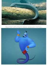 А потом они эволюционировали.