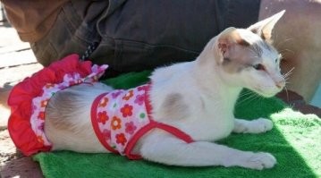 впрочем бывают и сложные случаи