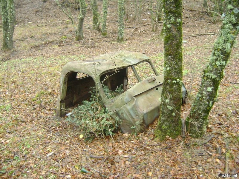 Не знаю... Вот с другого ракурса.