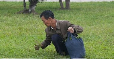 Ну эти, которые Рейтерс, ББС и т.п., фоточки там выкладывали разные.  Это ж они сейчас волают про страшных корейских хакеров.