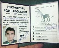 Как видно это обладатели этих "водительских" прав.