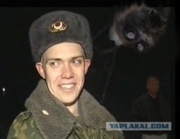 Житель деревни помог леопарду покинуть высокое дерево в Индии