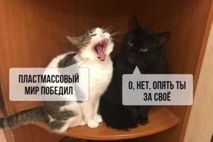 Сколько пластика съедаем за год?