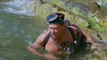 Купающийся в реке экстремал привлёк внимание крокодила