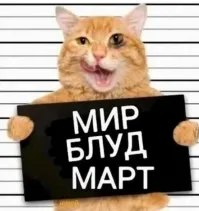 Коты — потенциальные поджигатели