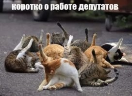 «Были сделаны поспешные выводы»: депутат Госдумы не согласен с лишением мандата за 200 дней прогулов