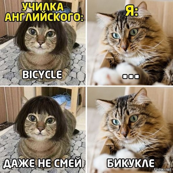 Солянка от 23.02.2025