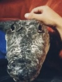 Какая прелесть!