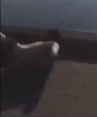 Бля, как больно то! Но мужику респект - удар держит.