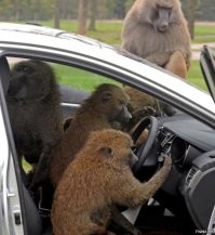 Каршеринг заблокировал автомобиль клиента во время движения, из-за чего образовалась многокилометровая пробка