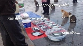 а оно, это чудо дизайна, реально ездит? или только в рекламе?
или на него, как на рыбов, можно только посмотреть?
а "и выставлен на продажу не будет" - рекламный трюк?