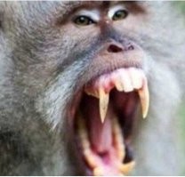 Ну иди же ко мне, сфоткаемся!