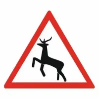 С 1 января 2026 года появятся новые дорожные знаки