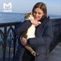 Сброшенная с обрыва в «Ласточкином гнезде» кошка Муся оказалась жива