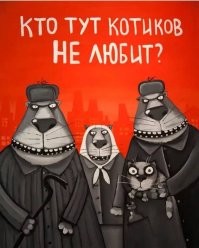 Кота сдали в приют из-за «слишком ласкового» характера