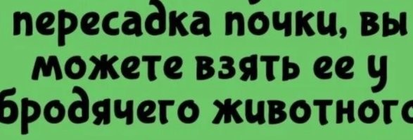 А как смотрят на это сами дикие животные!?