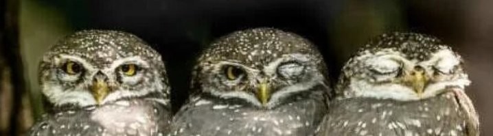 Чё они, специально что ли?