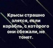 Жизненный план иноагента - вернуться в Россию