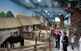 В экзотариуме ТЦ "Рио" на Дмитровке, теленок мальчику лет пяти, каким то образом ноготь отожрал...