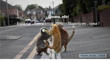 Скрины из соцсетей&nbsp;&nbsp;&nbsp;&nbsp;&nbsp;&nbsp;&nbsp;&nbsp;&nbsp;&nbsp;&nbsp;&nbsp;