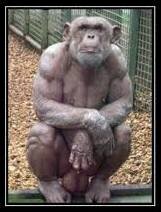 Кому что... (навеяно аватаркой)