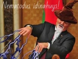 У бульбашей стопудово какое-то средство припасено!