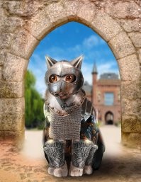 детский сад, и это не броня а снаряга какая то, - вот котик в броне, так по моему покруче будет