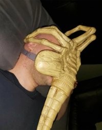 Странный лицехват.