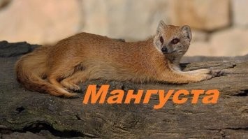 Второй день рождения юного пассажира метро