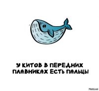 Не знал, что у кита есть ещё и задние плавники.