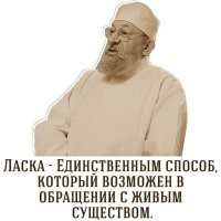 Медоеды тоже хотят ласки