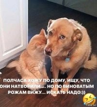 25+ персонажей, которых дома замучила тоска и посетила сумасшедшинка