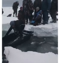 Ну... Там-то лёд толстый, как раз. Но это море, вот и оторвало льдины. 

Я к тому, что себя нужно любить и беречь.