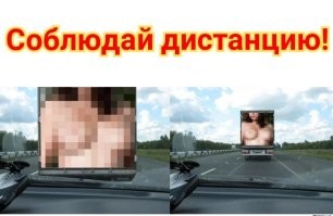 Собака - ДТП создавака