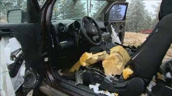 Чуть весь гамак не раздраконил. Медведи по такой же схеме периодически безуспешно пытаются порулить автомобилями :)