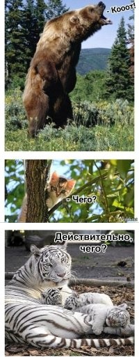 Фото суббота