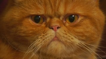 Здравствуйте -Царь...