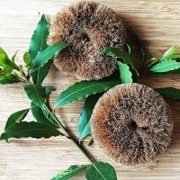 Мочалка, правда?! Питомец интересуется!