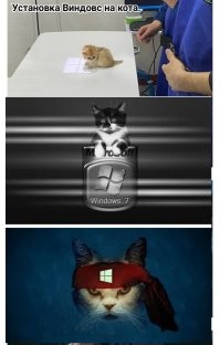 Фото суббота
