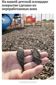 Ага. Лебедей, значит, нельзя, а кусками набросать, значит, можно. Ага.