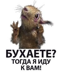 Фото суббота