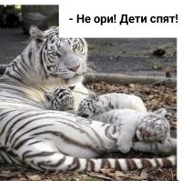 Фото суббота