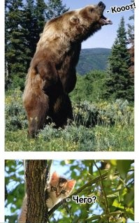 Фото суббота