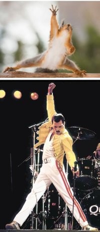 Фото суббота