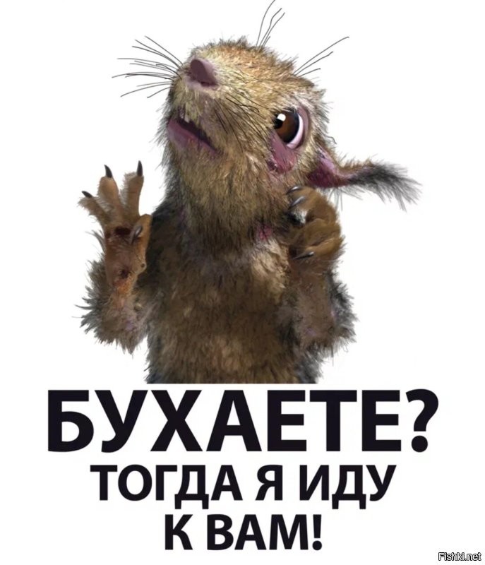 Фото суббота