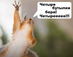 Фото суббота