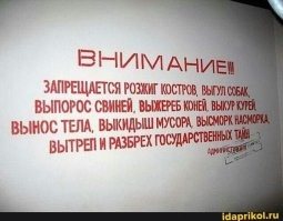 19  забавных объявлений, которые точно не остались без внимания и улыбок тех, кто их увидел