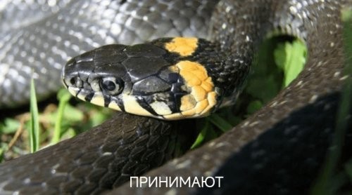 Сотрудники магазина Familia заперли двух покупательниц в подсобном помещении