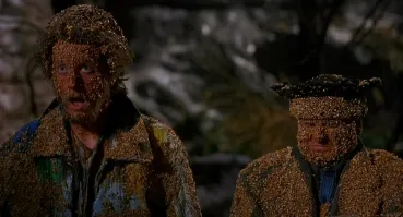 Девушка сделала хлебный плащ и решила покормить чаек на Финском заливе