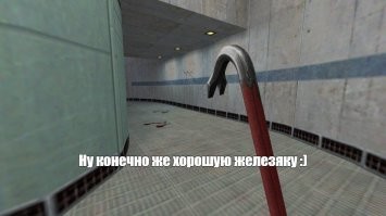 Казуар: птица с самой чёрной репутацией убийцы